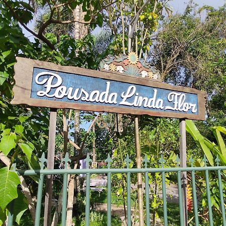 Alto Paraíso de Goiás Pousada Linda Flor Bed & Breakfast エクステリア 写真