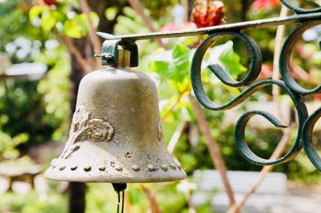 Alto Paraíso de Goiás Pousada Linda Flor Bed & Breakfast エクステリア 写真