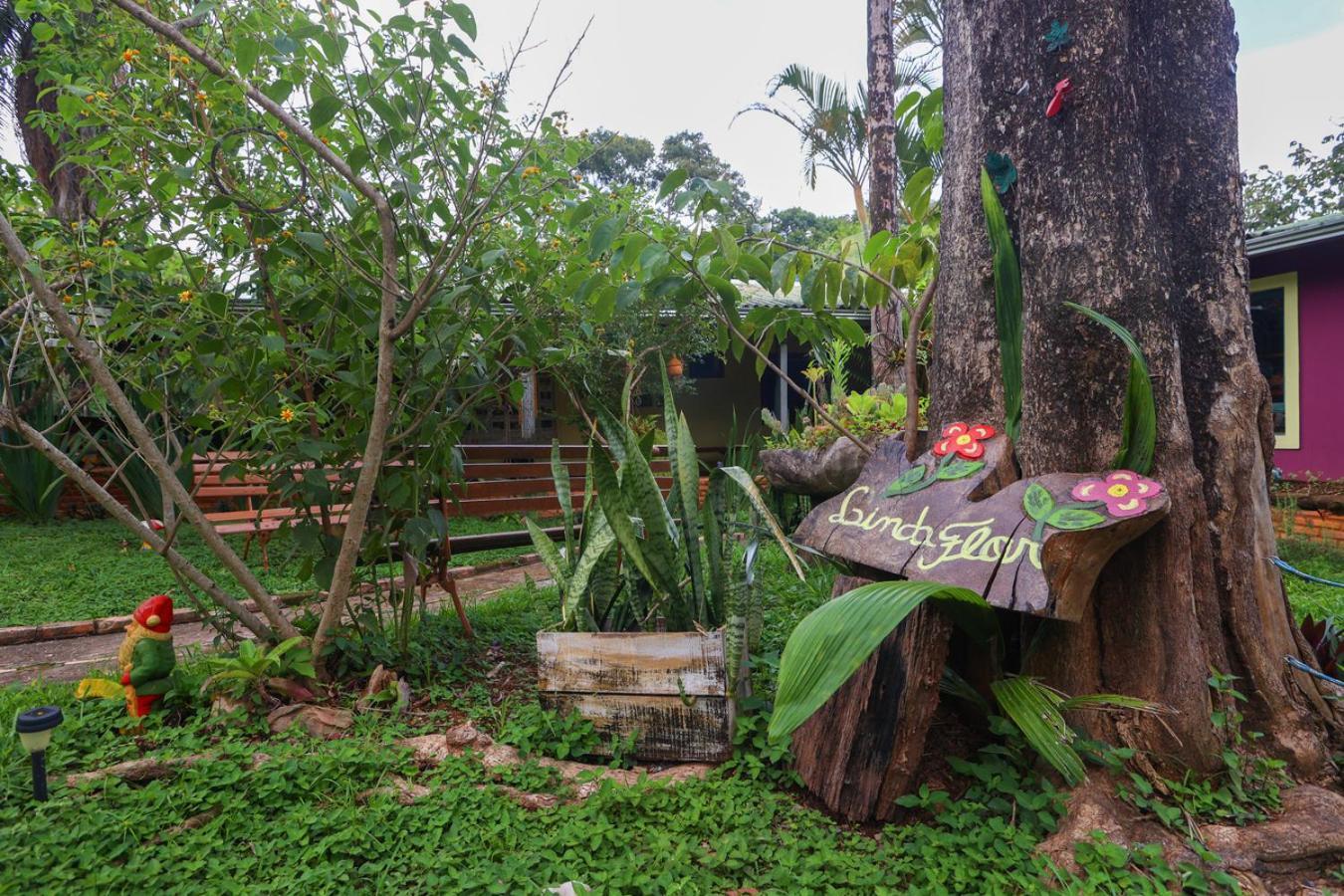 Alto Paraíso de Goiás Pousada Linda Flor Bed & Breakfast エクステリア 写真